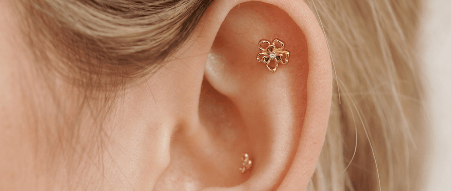 Cartilage Earrings