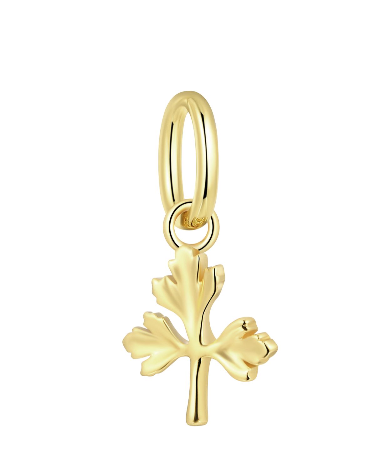Solid Gold Coriander Charm