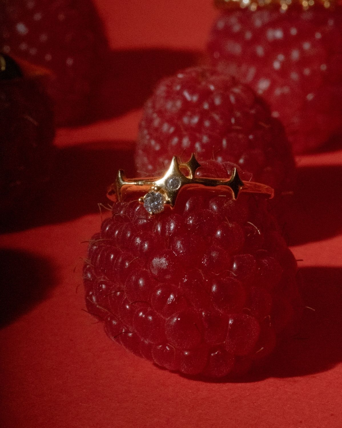 Solid Gold Elira Sparkle Ring