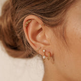 14K Solid Gold Bee Curve Single Stud