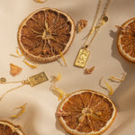 Leo Zodiac Necklace - S-kin Studio Jewelry | Minimal Jewellery That Lasts.